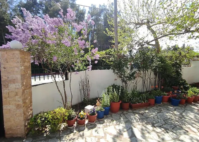 Happy Agia Triada (Thessaloniki)