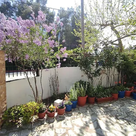 Happy Agia Triada (Thessaloniki)