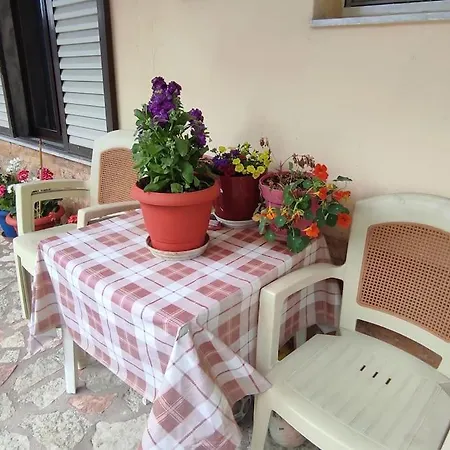 Happy Apartment *